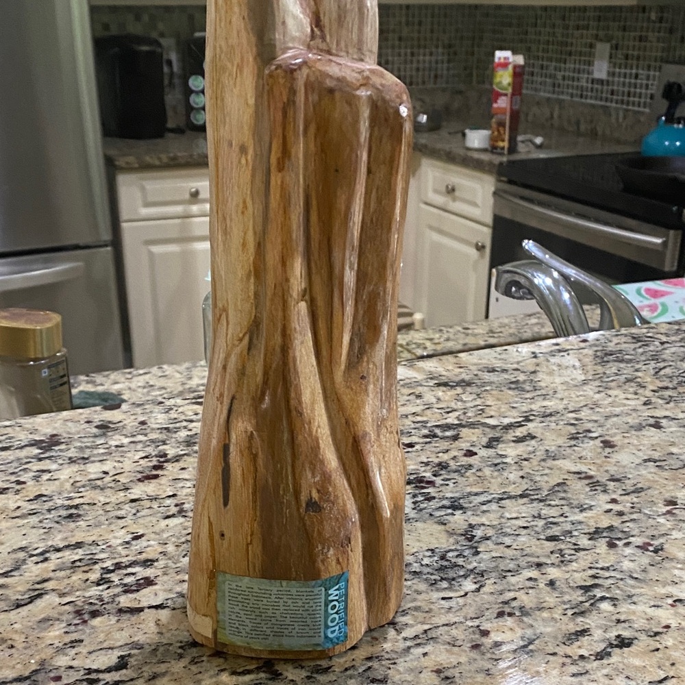 Indonesian Petrified Wood Decor